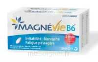 Magnevie B6 100 Mg/10 Mg Comprimés Pelliculés 2plq/60 (120) à SAINT-PRYVÉ-SAINT-MESMIN